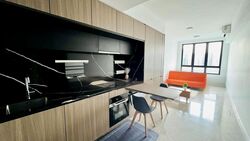 Irwell Hill Residences (D9), Apartment #481119381